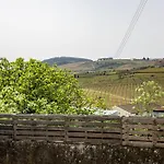Viosinho Alijó