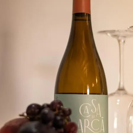 Dağ evi Viosinho Alijó