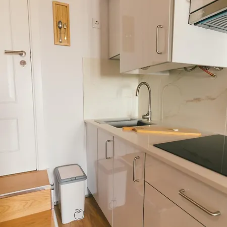 Viosinho Dağ evi Alijó