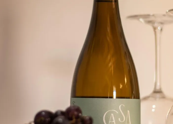 Chalet Viosinho Alijo